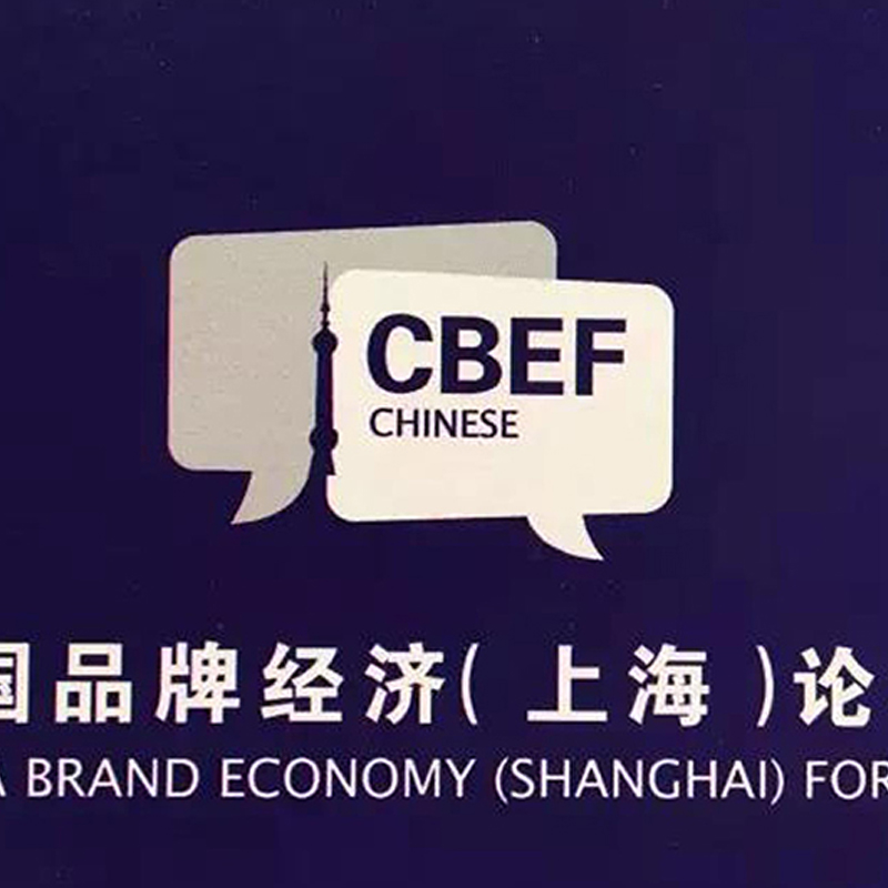 木馬設(shè)計(jì)創(chuàng)始人丁偉受邀參加第二屆中國品牌經(jīng)濟(jì)（上海）論壇