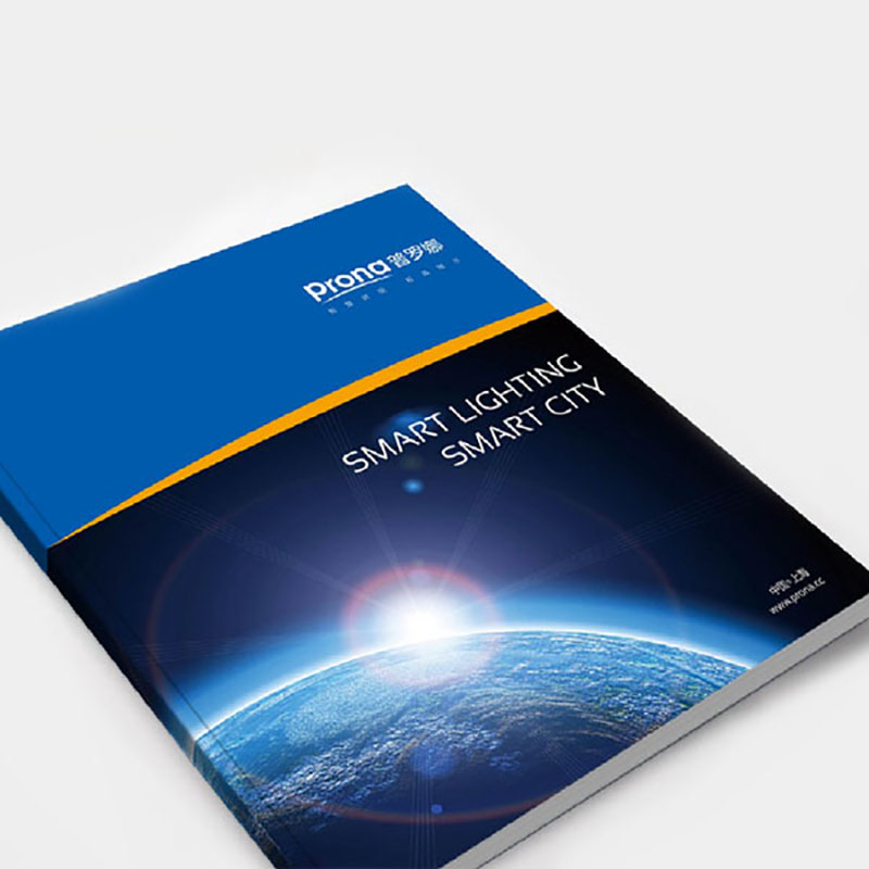 普羅娜營(yíng)銷策劃畫冊(cè)設(shè)計(jì)