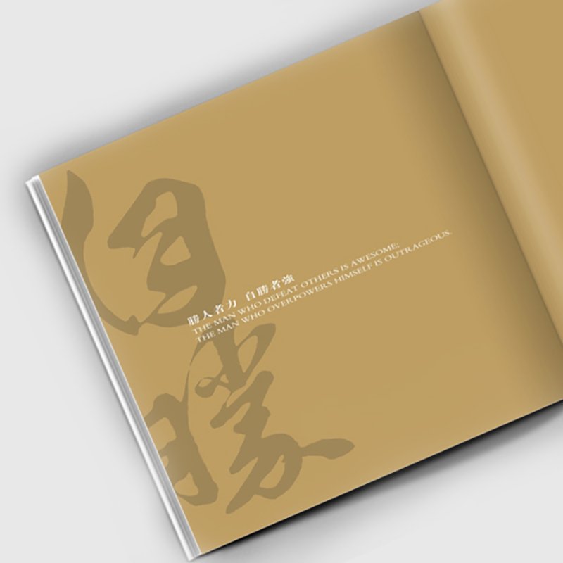 國(guó)泰華集團(tuán)營(yíng)銷策劃