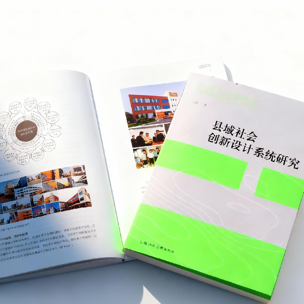 新書推薦 |跨越15年實(shí)踐探索，丁偉力作《縣域社會創(chuàng)新設(shè)計(jì)系統(tǒng)研究》正式發(fā)布！